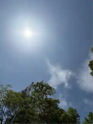 玉村八幡宮(群馬県)