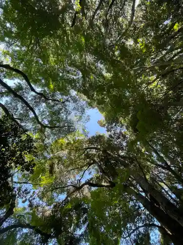 猿田彦神社の自然