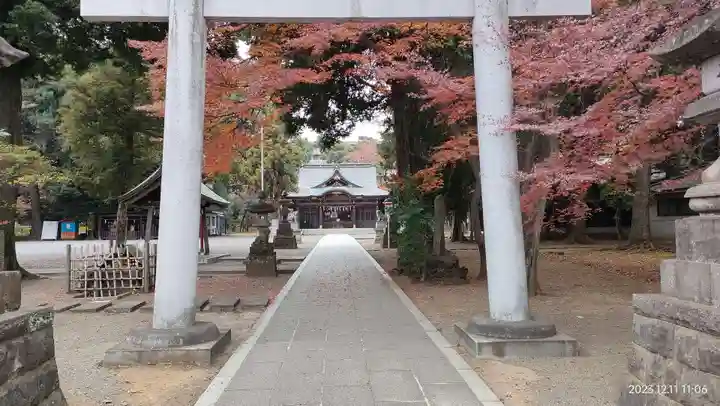 東村山八坂神社(東京都)