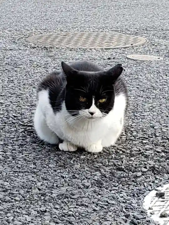 白金氷川神社(東京都)