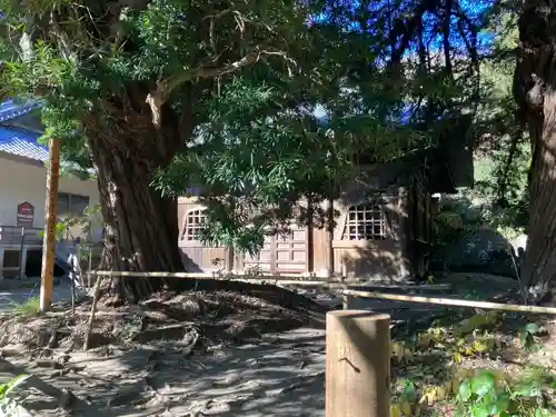 浄光明寺(神奈川県)