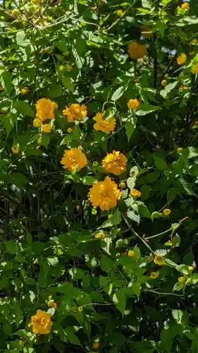 橋寺 放生院(京都府)