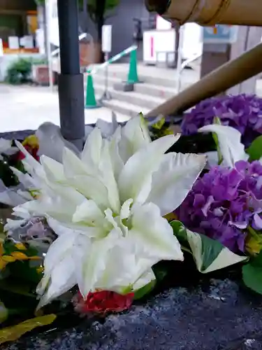 鳩森八幡神社の手水舎