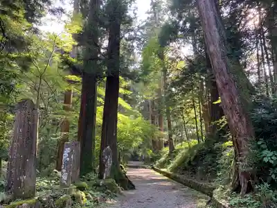 最乗寺（道了尊）のその他建物