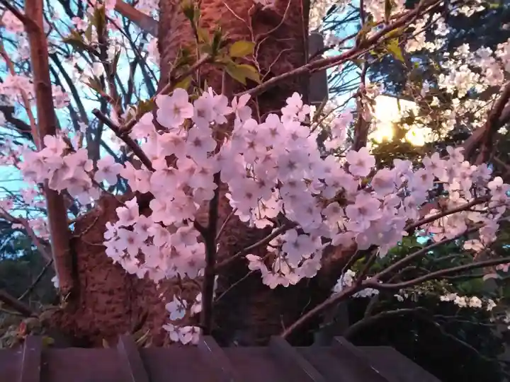 稱名寺(神奈川県)