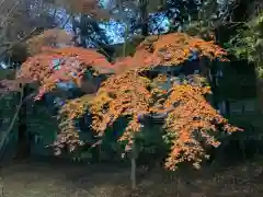 東漸寺(千葉県)