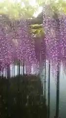 秋葉神社(愛知県)