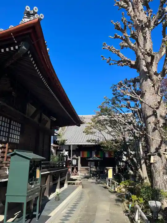 常性寺のその他建物