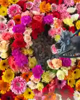 札幌諏訪神社の手水舎