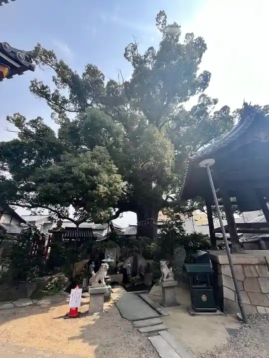 法楽寺(大阪府)