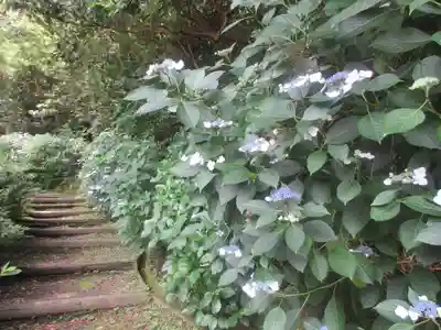 安國論寺（安国論寺）の自然