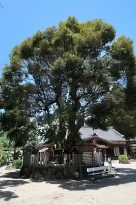 志氐神社(三重県)
