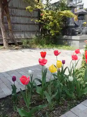 圓珠寺(東京都)