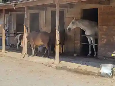 小室浅間神社(山梨県)