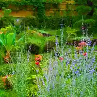 寿量山 速成寺(奈良県)