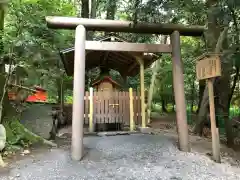 椿大神社の鳥居