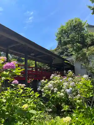 本土寺(千葉県)