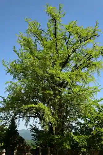 大窪寺(香川県)