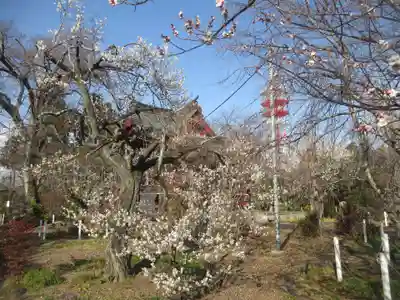 國分寺(茨城県)
