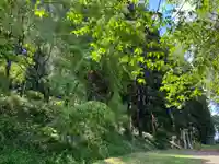 大宮温泉神社(栃木県)