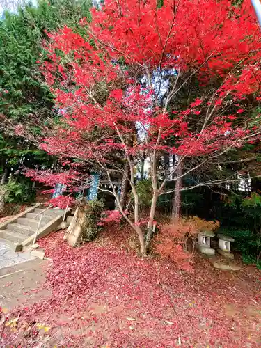 滑川神社 - 仕事と子どもの守り神の自然