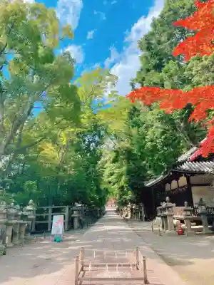 石清水八幡宮の{uncategorized: "未分類", other: "その他", undefined: "問題あり", building: "その他建物", grave: "お墓", sacred_gate: "鳥居", guardian: "狛犬", statue: "像", buddha: "仏像", history: "歴史", nature: "自然", garden: "庭園", animal: "動物", pagoda: "塔", temizu: "手水舎", mountain_gate: "山門・神門", sanctuary: "本殿・本堂", subordinate: "末社・摂社", art: "芸術", scenery: "景色", jizo: "地蔵", ema: "絵馬", goshuin: "御朱印", omikuji: "おみくじ", items: "授与品その他", amulet: "お守り", goshuincho: "御朱印帳", eats: "食事", festival: "お祭り", votive_dance: "神楽", shichigosan: "七五三参", wedding: "結婚式", experience: "体験その他", initially: "初詣", around: "周辺", anti_infection: "感染症対策"}