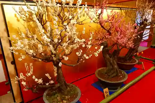 柳澤神社の芸術