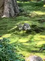 三千院門跡(京都府)