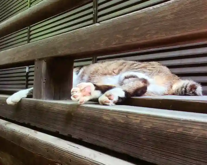 荻窪白山神社(東京都)