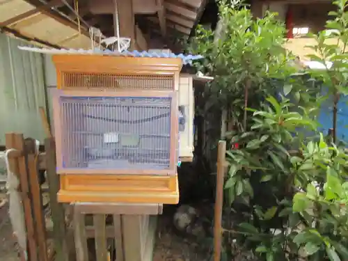 高知八幡宮(高知県)