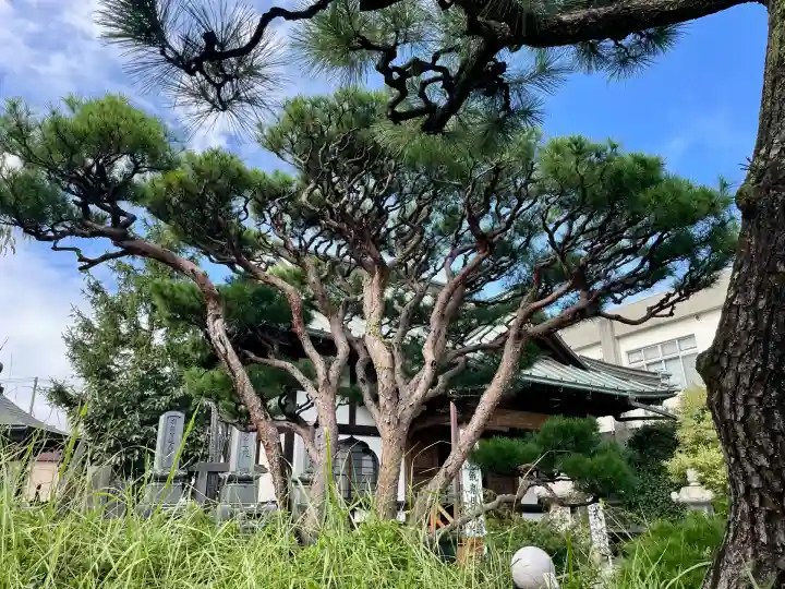 大乗寺(神奈川県)