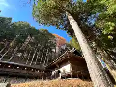 子檀嶺神社(長野県)