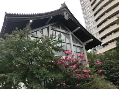 青松寺のその他建物