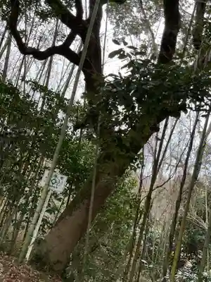 安祥寺(愛知県)