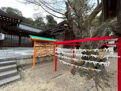 群馬県護国神社(群馬県)