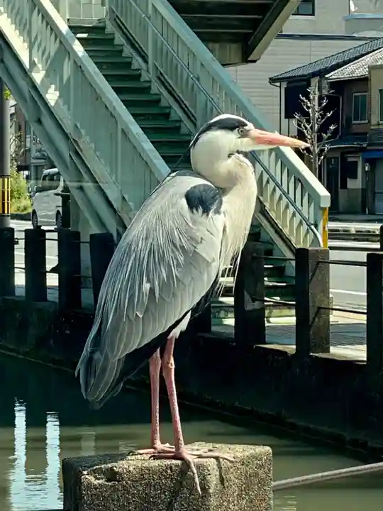 六孫王神社(京都府)