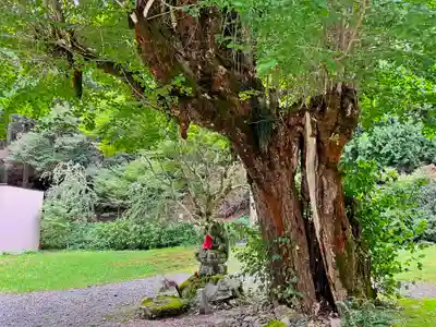 羽賀寺(福井県)