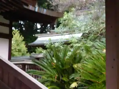 龍尾神社(静岡県)