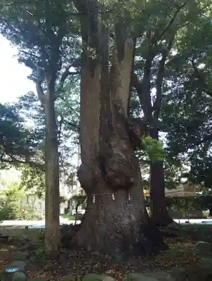 部田神社(静岡県)
