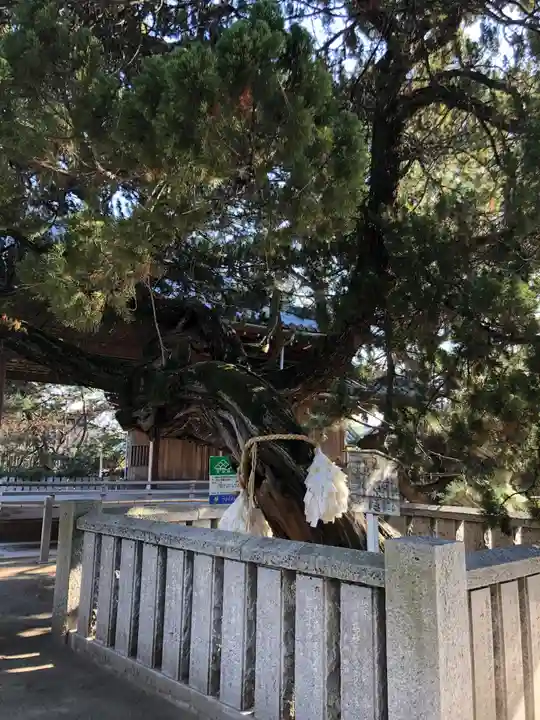 高砂神社の自然