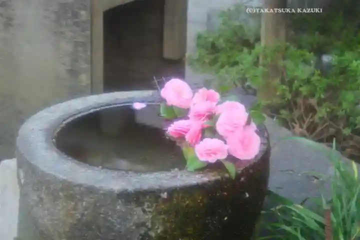 子安神社(東京都)