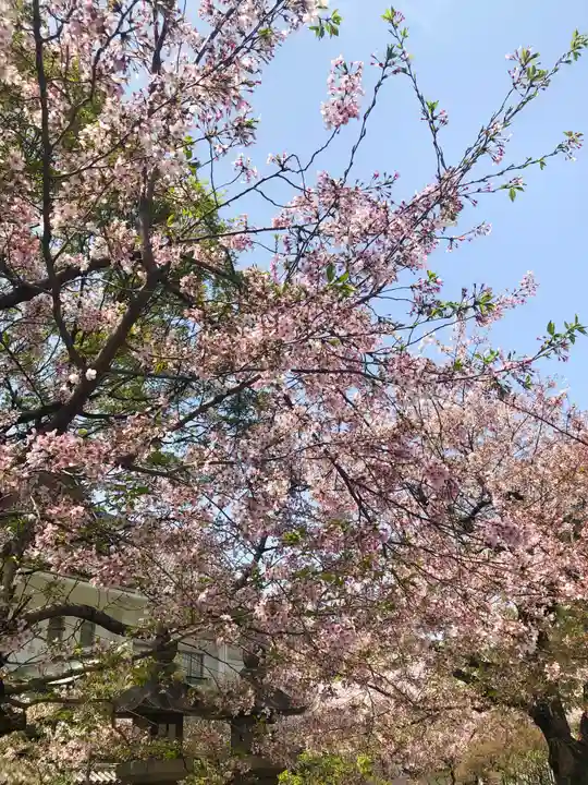 道明寺天満宮(大阪府)