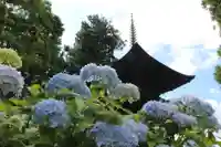 国宝 大法寺の自然