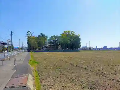 弥富神社の自然