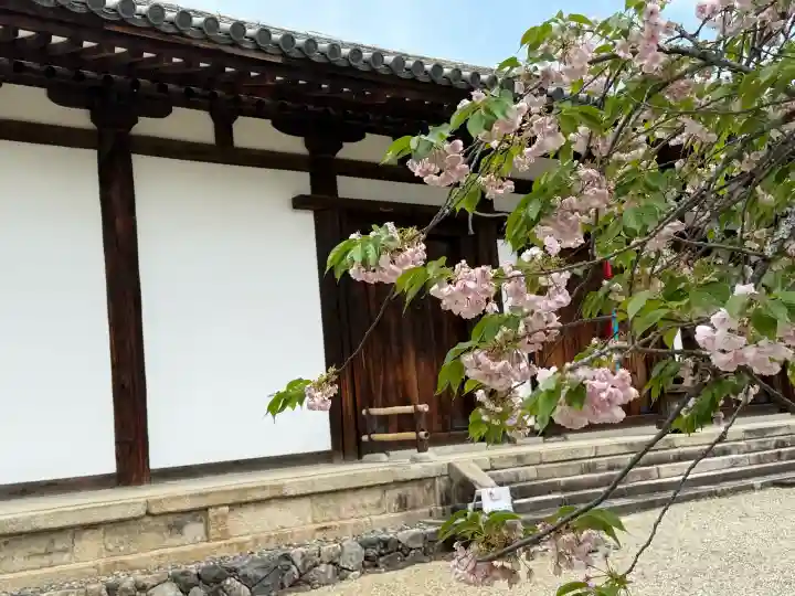 新薬師寺の{uncategorized: "未分類", other: "その他", undefined: "問題あり", building: "その他建物", grave: "お墓", sacred_gate: "鳥居", guardian: "狛犬", statue: "像", buddha: "仏像", history: "歴史", nature: "自然", garden: "庭園", animal: "動物", pagoda: "塔", temizu: "手水舎", mountain_gate: "山門・神門", sanctuary: "本殿・本堂", subordinate: "末社・摂社", art: "芸術", scenery: "景色", jizo: "地蔵", ema: "絵馬", goshuin: "御朱印", omikuji: "おみくじ", items: "授与品その他", amulet: "お守り", goshuincho: "御朱印帳", eats: "食事", festival: "お祭り", votive_dance: "神楽", shichigosan: "七五三参", wedding: "結婚式", experience: "体験その他", initially: "初詣", around: "周辺", anti_infection: "感染症対策"}