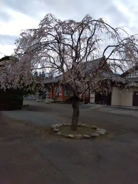 高藏寺(埼玉県)