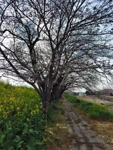 大塚諏訪神社 (埼玉県)