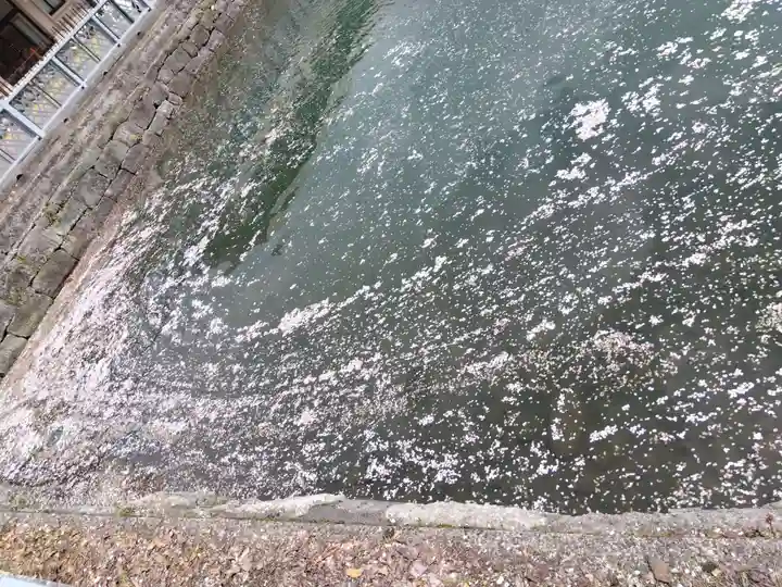 福井神社の自然