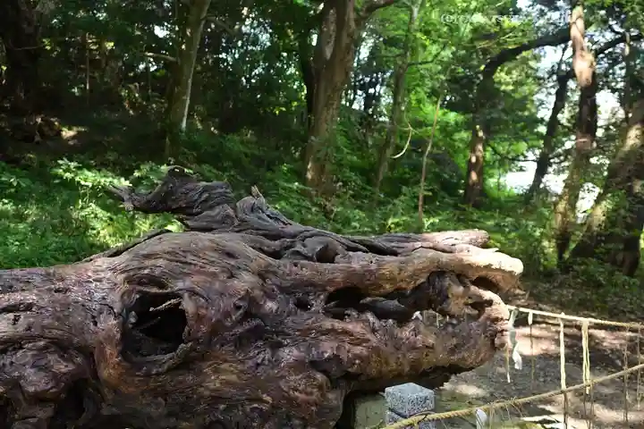 泉神社(茨城県)