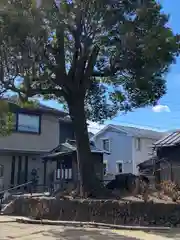 日吉八王子神社(東京都)